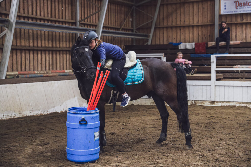 Tehtäväratsastustunnilla Roope -hevosen ratsastaja tavoittelee peitsenä toimivaa aurauskeppiä sinisestä tynnyristä.