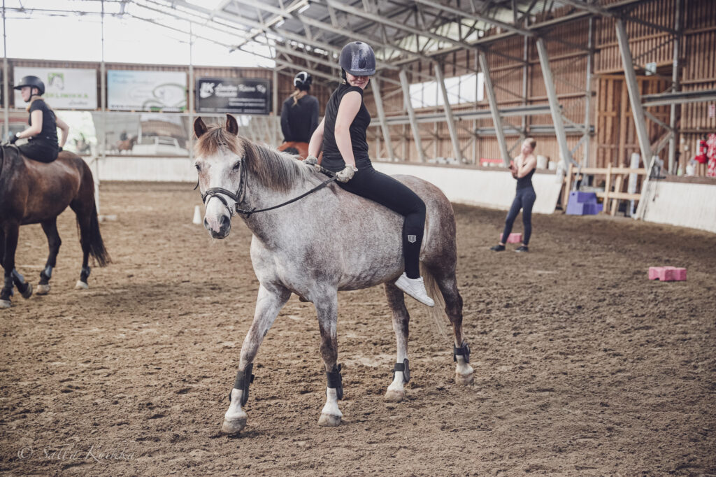 Kesän leiritunnilta otetussa kuvassa on kuvan keskellä yksi ratsastaja väärin päin ruskeanpäistärikön ponin selässä ja taustalla näkyy maneesiympäristö, opettaja Nora sekä muita ratsukoita